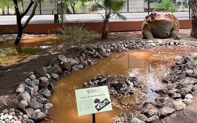 Cuenca de siembra de agua